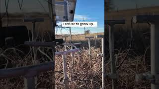 Rod Depth...Ground Rod Depth