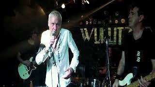 TV SMITH - Gary Gilmore's Eyes (The Adverts) - Live 11 4 2024