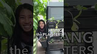 Growing Pineberry and Other Treats in a Vertical Planter