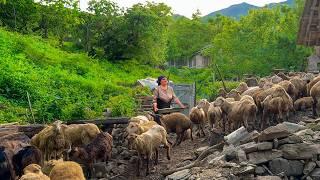 Traditional Farm Life: Making Cottage Cheese and Halva From Scratch
