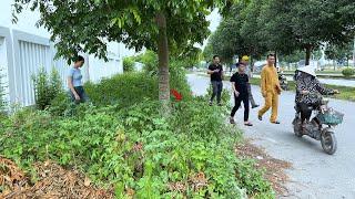 The woman didn’t believe the overgrown sidewalk was cleared so fast everyone was worried