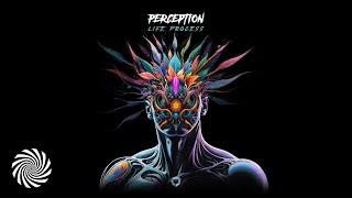 Perception - Life Process