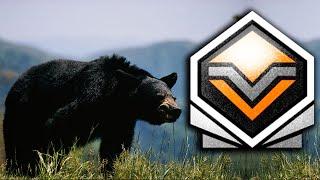 Медведь БРИЛЛИАНТ theHunter Call of the Wild