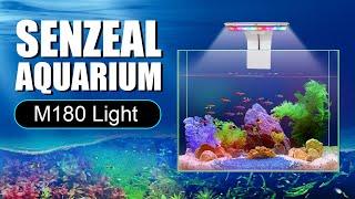 Aquarium Colorful LED Light - from senzeal.com