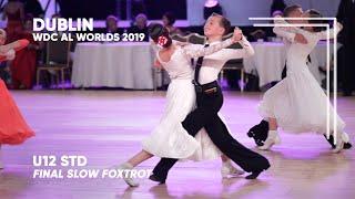 Leo Kolmykov - Daria Andreyev, USA | 2019 Dublin | World U12 STD - F SF