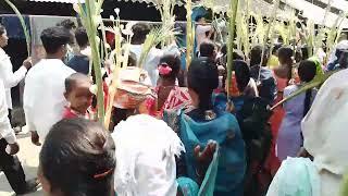 LUSIPER AJALALING URDENGMOTAM  HAPPY PALM DAY 🪴🪴🪴🪴🪴