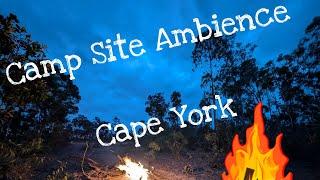 Campsite Ambience: Fruit Bat Falls - Cape York 2024