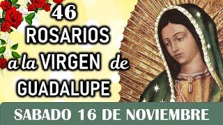 46 Rosarios a la Santísima Virgen de Guadalupe, Sábado 16 de Noviembre, Dia 20 Misterios Gozosos 