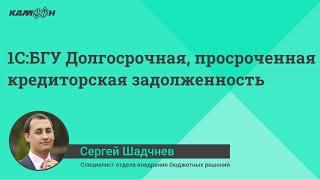 1С:БГУ Долгосрочная, просроченная кредиторская задолженность