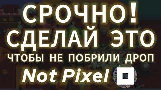 СРОЧНО СДЕЛАЙ ЭТО В NOT PIXEL! ПОБРИЛИ В НОТ ПИКСЕЛЬ ЧТО ДЕЛАТЬ? ЛИСТИНГ ДРОП AIRDROP ТОКЕНА БИРЖА