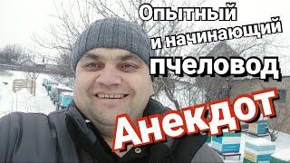 Анекдот и пожелания от пчеловода.