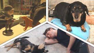 Best of Jerma and Otto