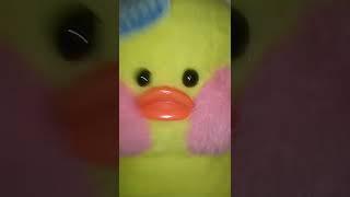 Утки это мы