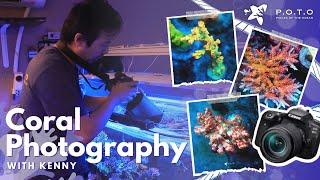 Coral Photography with Kenny at POTO