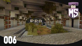 PROFESSIONAL STORAGE - Minestructors SMP - EP06