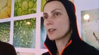Домнич и Гелфонд: «10000 павлиньих перьев...»