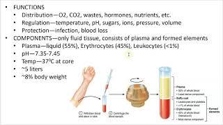 2402 Lecture Ch 17 Blood 1 PowerPoint Screencast