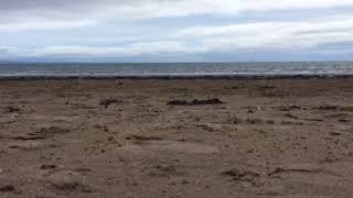  Adventures | Saltcoats Beach 