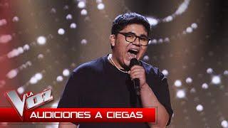 Alan Brizuela - A song for you | Blind Auditions | The Voice Spain 2024