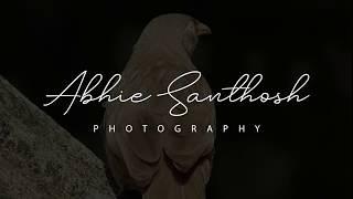 How To Create A Signature Photography Logo