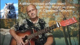 А волки гораздо добрее людей... песня на стихи И.Самарина-Лабиринт/ под гитару/на гитаре...