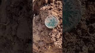 Awesome Indian Head found!! #metaldetecting