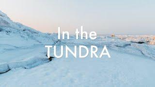 "In the Tundra" Song about the Arctic Tundra