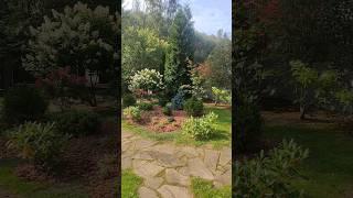 Хвойная композиция у дома