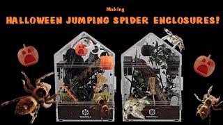 HALLOWEEN JUMPING SPIDER ENCLOSURES! (Making Halloween enclosures for 2 of my jumpers!)