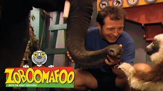 Zoboomafoo with the Kratt Brothers! THE NOSE KNOWS | Full Episodes Compilation