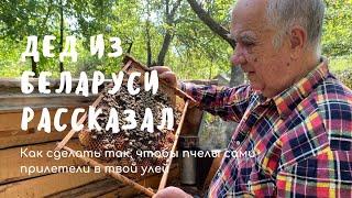 Как сделать так, чтобы пчелы сами прилетели в улей? Рассказываю