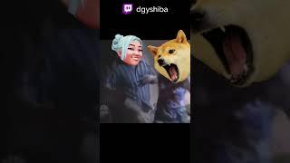 Твичевские приколы valorant (twitch dgyshiba)