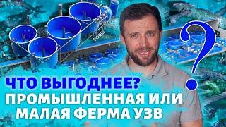 Что ПРИБЫЛЬНЕЕ  ПОСТРОИТЬ? Домашнюю или ПРОМЫШЛЕННУЮ ферму УЗВ | Свой БИЗНЕС | Какой БИЗНЕС ОТКРЫТЬ