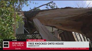 High winds topple tree into Redwood City home