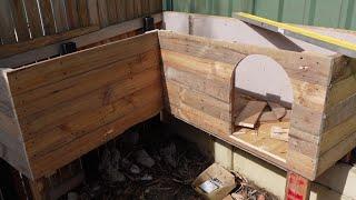 Chicken coop build part 2