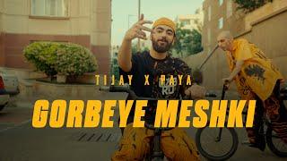 Amin Tijay - Gorbeye Meshki (feat. Paya) (Official Music Video)