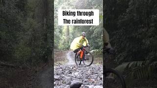 Biking Through a Rainforest!