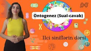 Ontogenez (Sual cavabı) 11ci sinifler