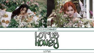 LOT'US "Honey" Color Coded Lyrics