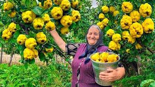 Harvesting A Lot of Large Quince and Making Jam and Cake for Winter!