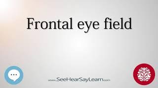 Frontal eye field   Anatomy of the Brain   SeeHearSayLearn 