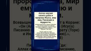 Аллах научил своего раба и пророка Исуса, мир ему, Писанию и мудрости.