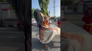 Atraksi keren Barongan Blora #kabarmustika #shots #fyp #barongan