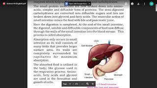 Human organ system. (Small Intestine) Class 7 Science Part 3 Sindh Textbook Board in Urdu.