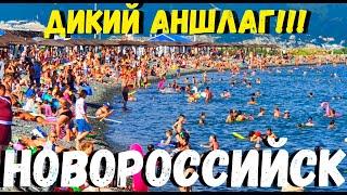 НОВОРОССИЙСК 2020г. ДИКИЙ АНШЛАГ! ПЛЯЖ АЛЕКСИНО. ДАЖЕ В ГЕЛЕНДЖИКЕ ТАКОГО НЕТ! Я В ШОКЕ!