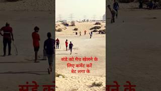 friendly cricket white camp