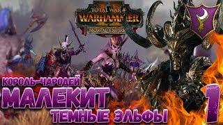 Total War: Warhammer 2 + Мод SFO (Легенда) - Малекит  #1