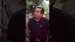 Cheyyi Thi... Cheyyi Thiii  | Brahmanandam Comedy Scene | Anaganaga Oka Roju | RGV | #Shorts