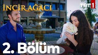 İncir Ağacı 2. Bölüm