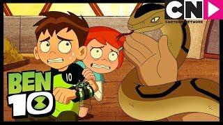 Ben 10 | Snake Song | King Koil | Cartoon Network